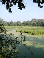 Tůň u Kotvice, CHKO Poodří