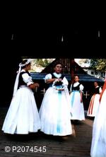 Národopisný soubor Olšina