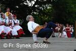 Mezinárodní folklorní festival Strážnice