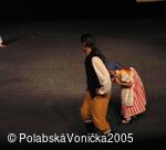 Folklorní festival Polabská Vonička