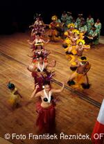 Mezinárodní folklorní festival Folklor bez hranic
